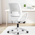 NEO CHAIR Mesh Lumbar Office Desk Chair