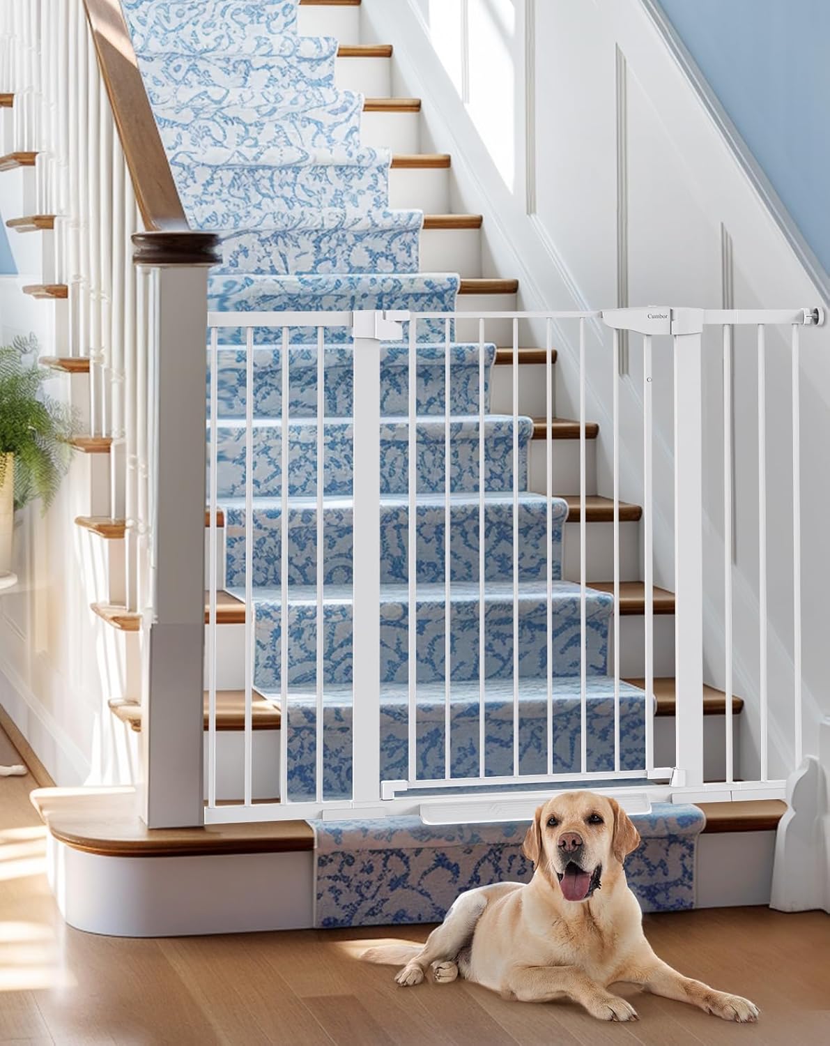 Cumbor 36 Inch Extra Tall Baby Gate for Safety and Security