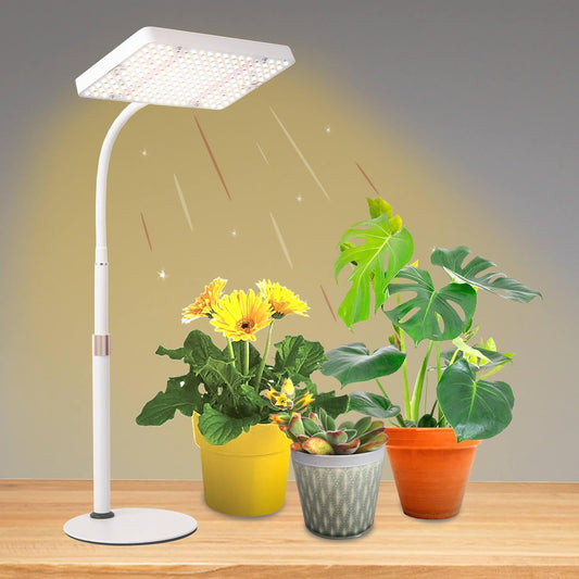 Tabletop Grow Light with Timer for Indoor Plants and Seedlings
