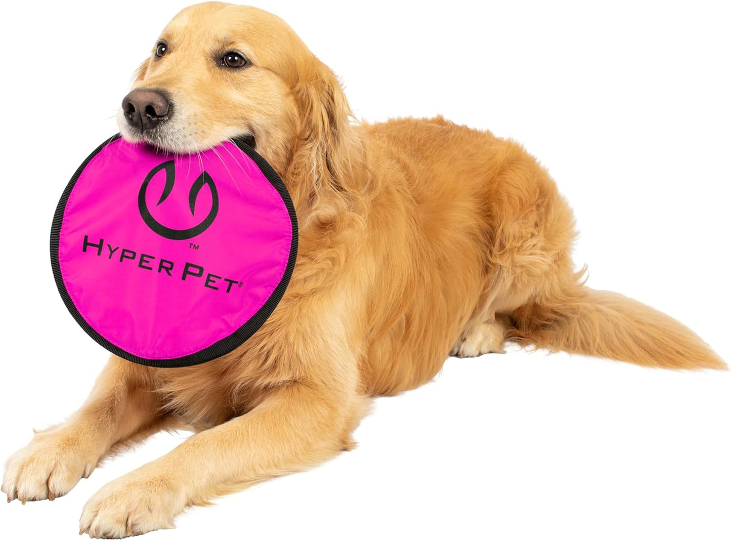 Hyper Pet Flippy Flopper Dog Frisbee - Interactive Fetch Toy for Safe Water Play!