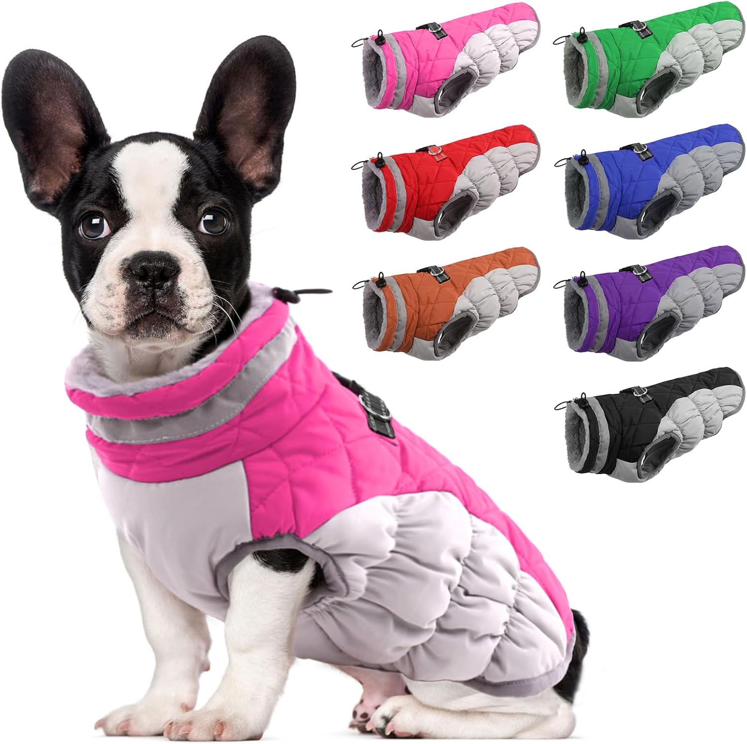 Lelepet Dog Coat Warm Waterproof Jacket for Small Dogs
