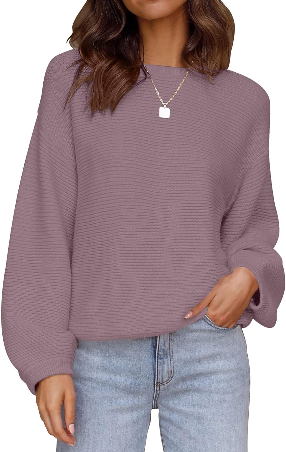 ZESICA Women's Crew Neck Lantern Sleeve Pullover Sweater Tops