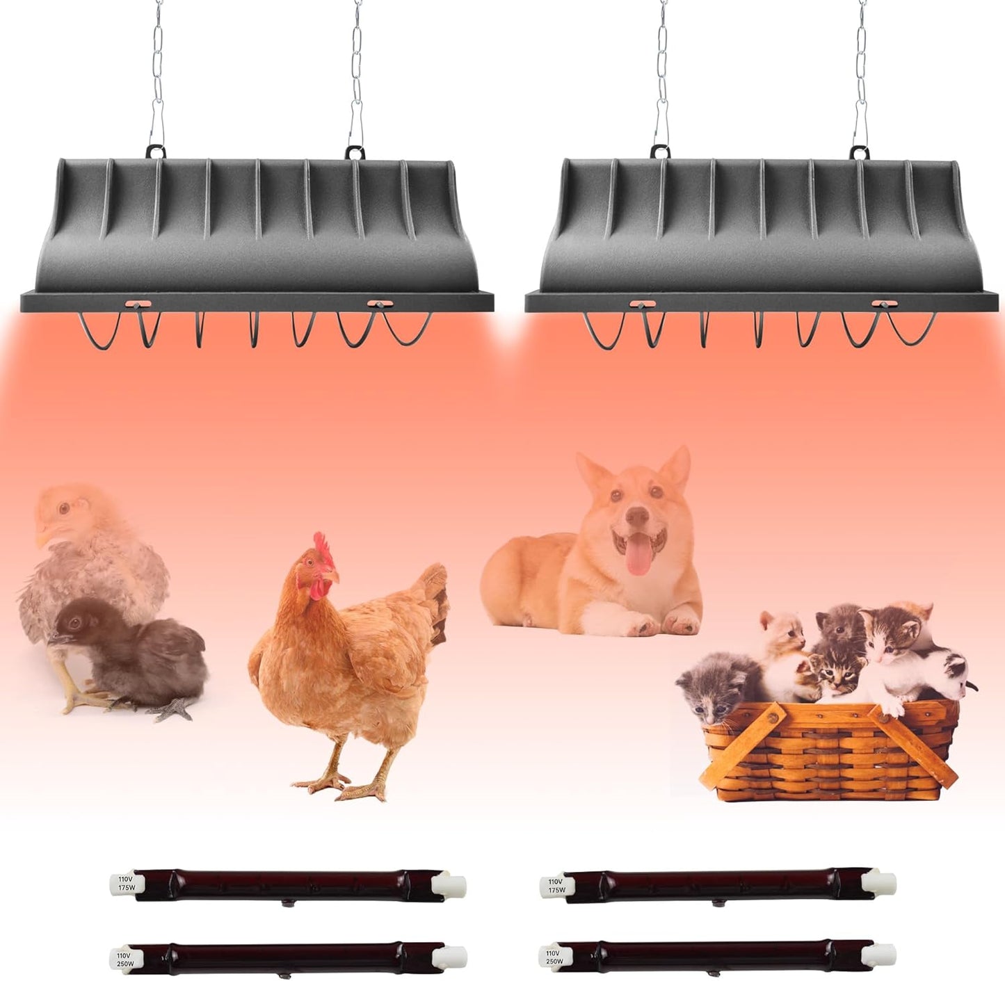 Adjustable Temp Brooder Heater by JUSONEY