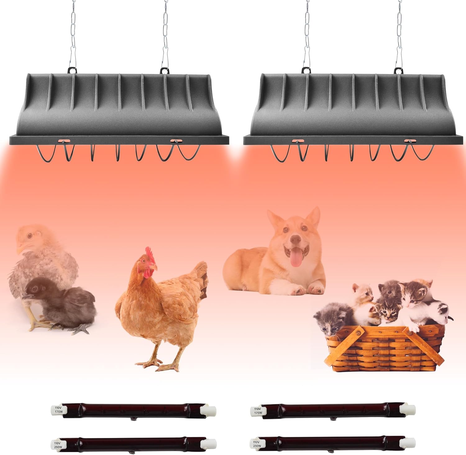 Adjustable Temp Brooder Heater by JUSONEY