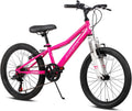 AVASTA Govet 20ft' Kids Mountain Bike for Ages 6-12 with Suspension