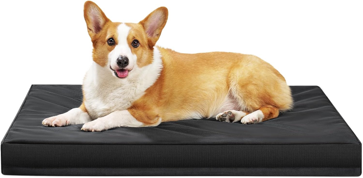 Indestructible Dog Bed for Large Dogs with Orthopedic Foam