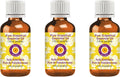 Pure Grapefruit Essential Oil (Citrus paradisi) 100ml x 3 - Steam