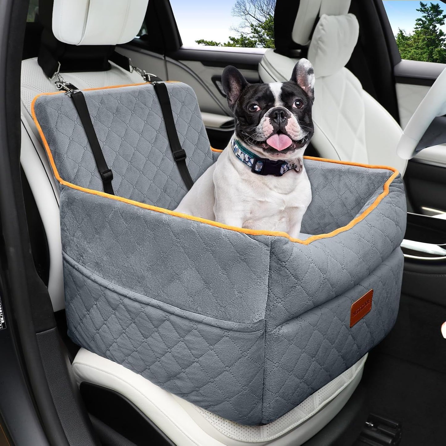 Elevated Dog Car Seat for Small Medium Dogs with Safety Belts
