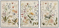 Framed Wall Art Print Set Blooming Wildflowers Illustrations