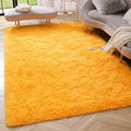 Amearea Premium Soft Area Rug 4x5.3 ft - Plush Orange Shag Rug