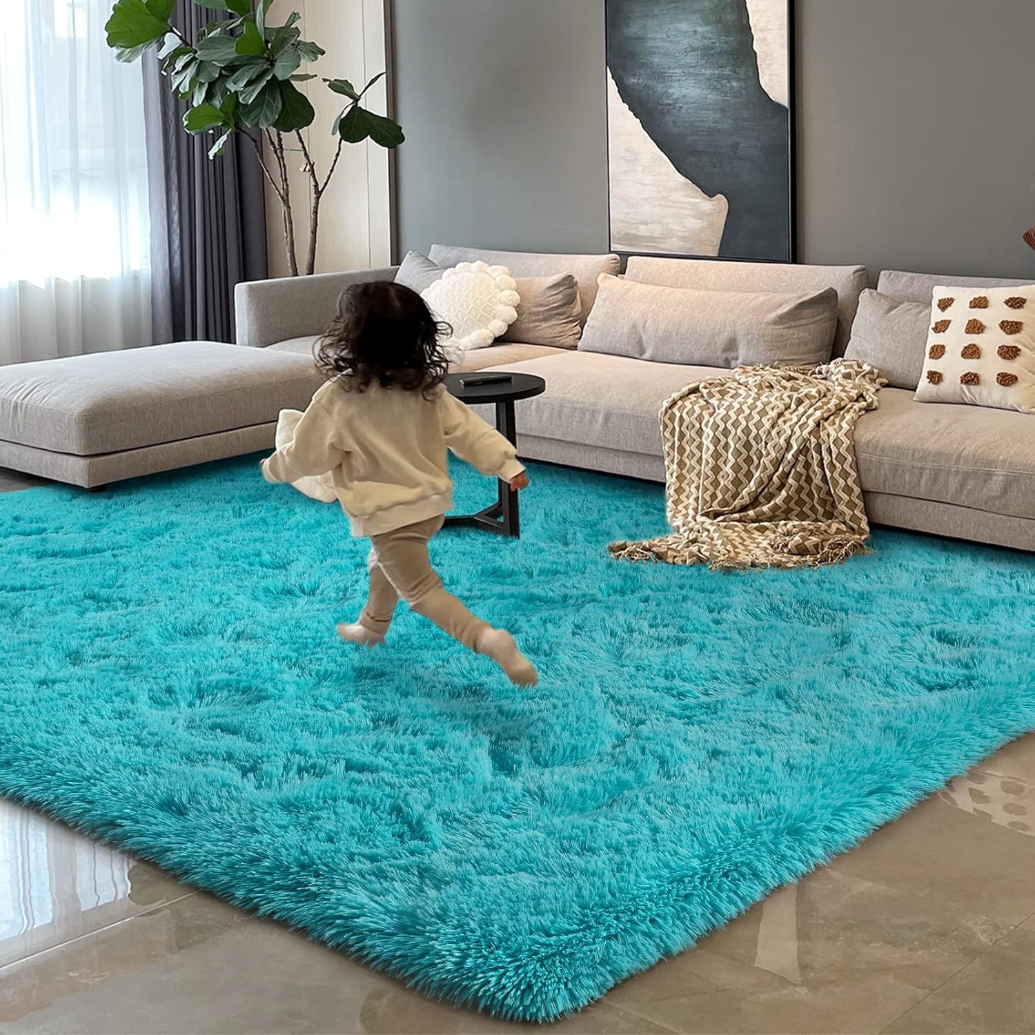 HOMORE 5x8 Fluffy Modern Shag Rug for Living Room and Bedroom