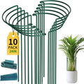 Heavy Duty Plant Support Stakes for Strong Growth and Stability