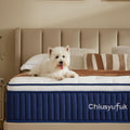 Queen Mattress 10 in Hybrid Queen Size Mattress - Soft Support