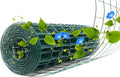 Green Metal Garden Fence for Dogs and Vegetable Plant Protection