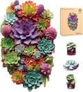 Puzzles for Adults 500 Pieces Wooden Succulent Jigsaw - Durable Gift