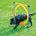 Dog Agility Training Kit with Jump Ring, Adjustable Hurdles & Weave