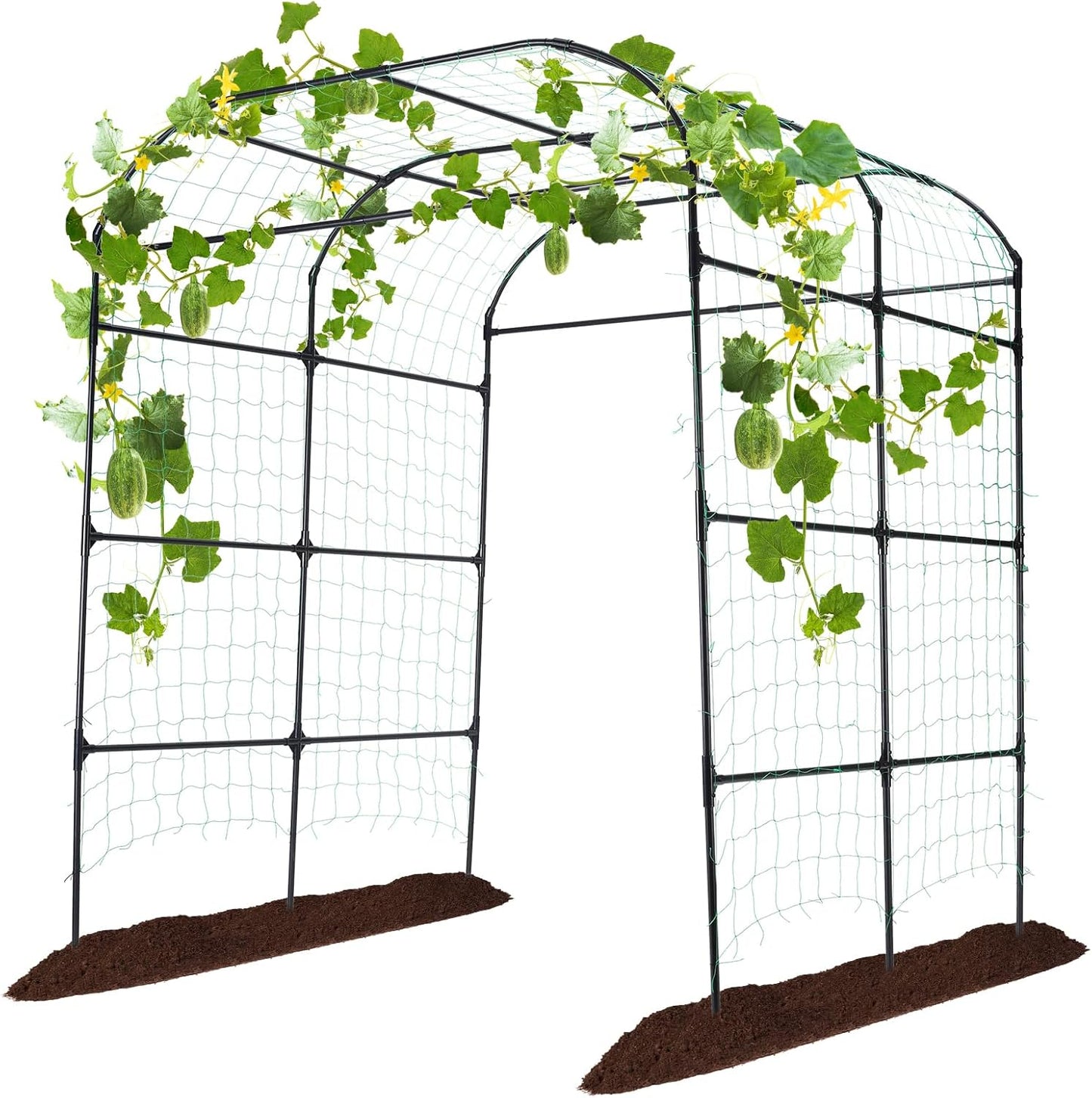 Garden Arch Trellis for Climbing Plants - Sturdy Support Frame