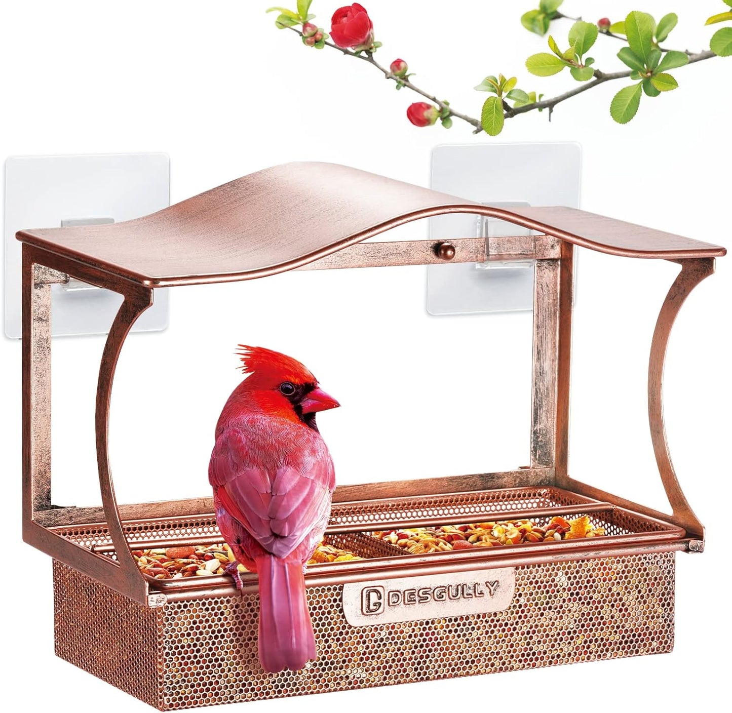 Curved Window Bird Feeder for Bird Watching Bliss