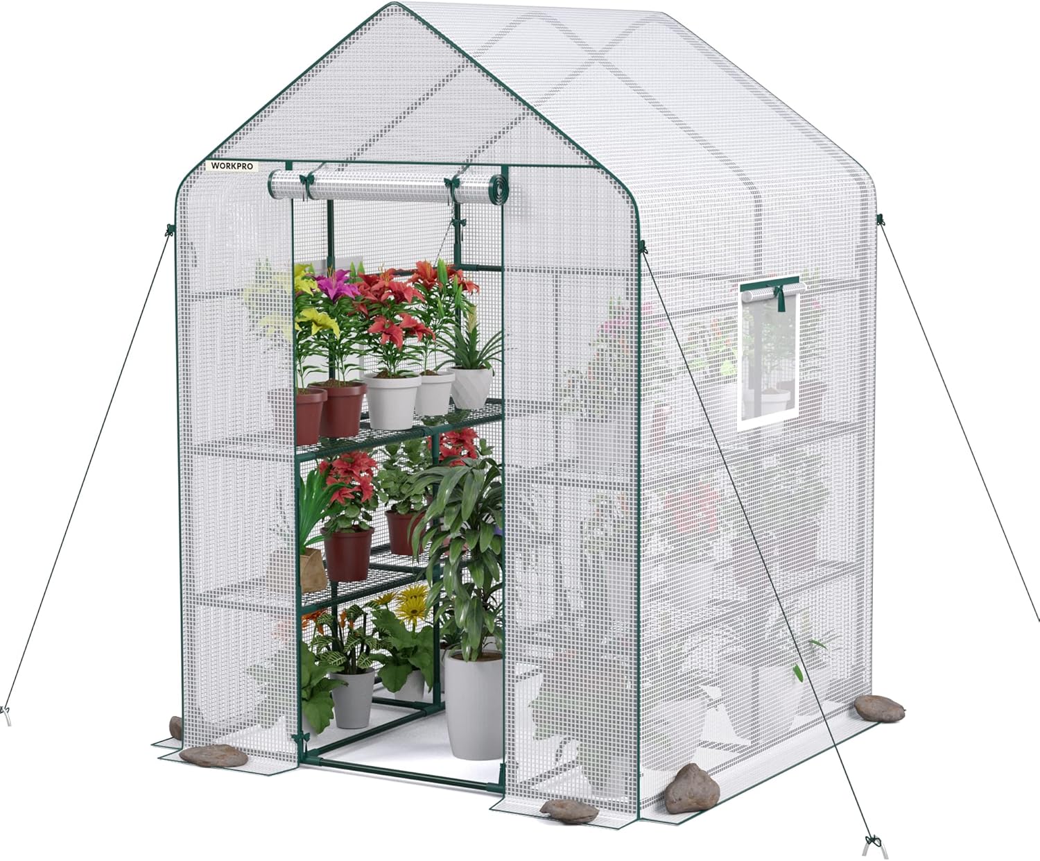 WORKPRO Greenhouse 56 x 56 x 77 Heavy Duty Walk-in Kit