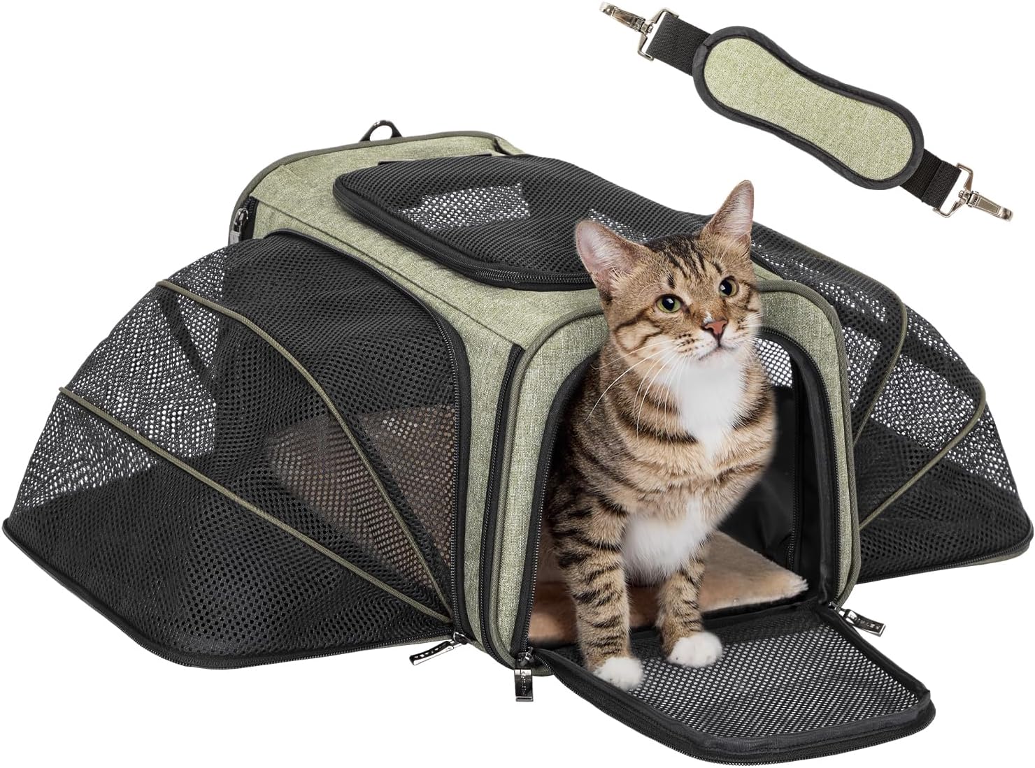Expandable Rabbit Carrier for Travel with Soft Washable Cushion