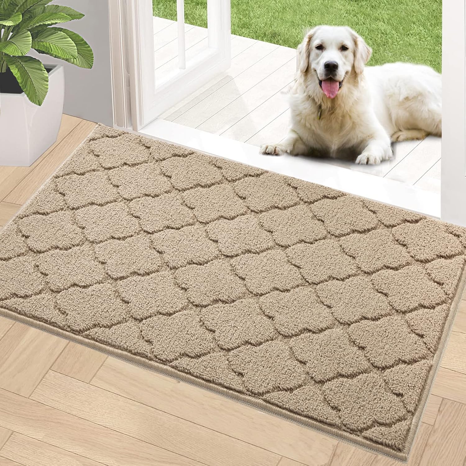 Timo Entryway Rug - Absorbent Non Slip Indoor Doormat 32x40 in