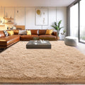 Soft Shaggy Area Rugs for Living Room, Fuzzy 6x9 Feet Carpet