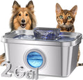 Cat & Dog Water Fountain with 2 Gallon Capacity for Pets