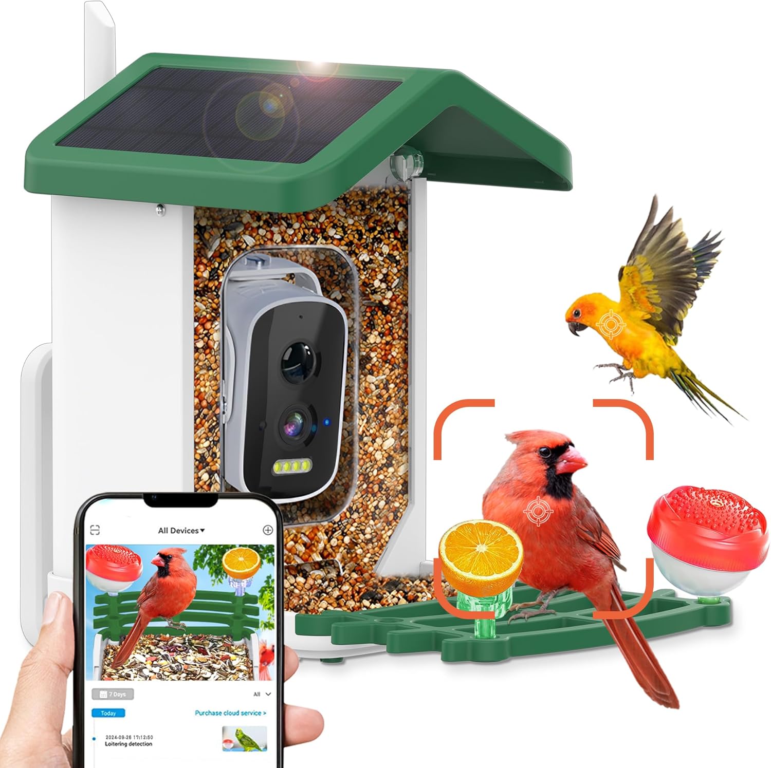 Shufield Smart Bird Feeder: Live Alerts, HD Camera, AI Auto-ID - Green