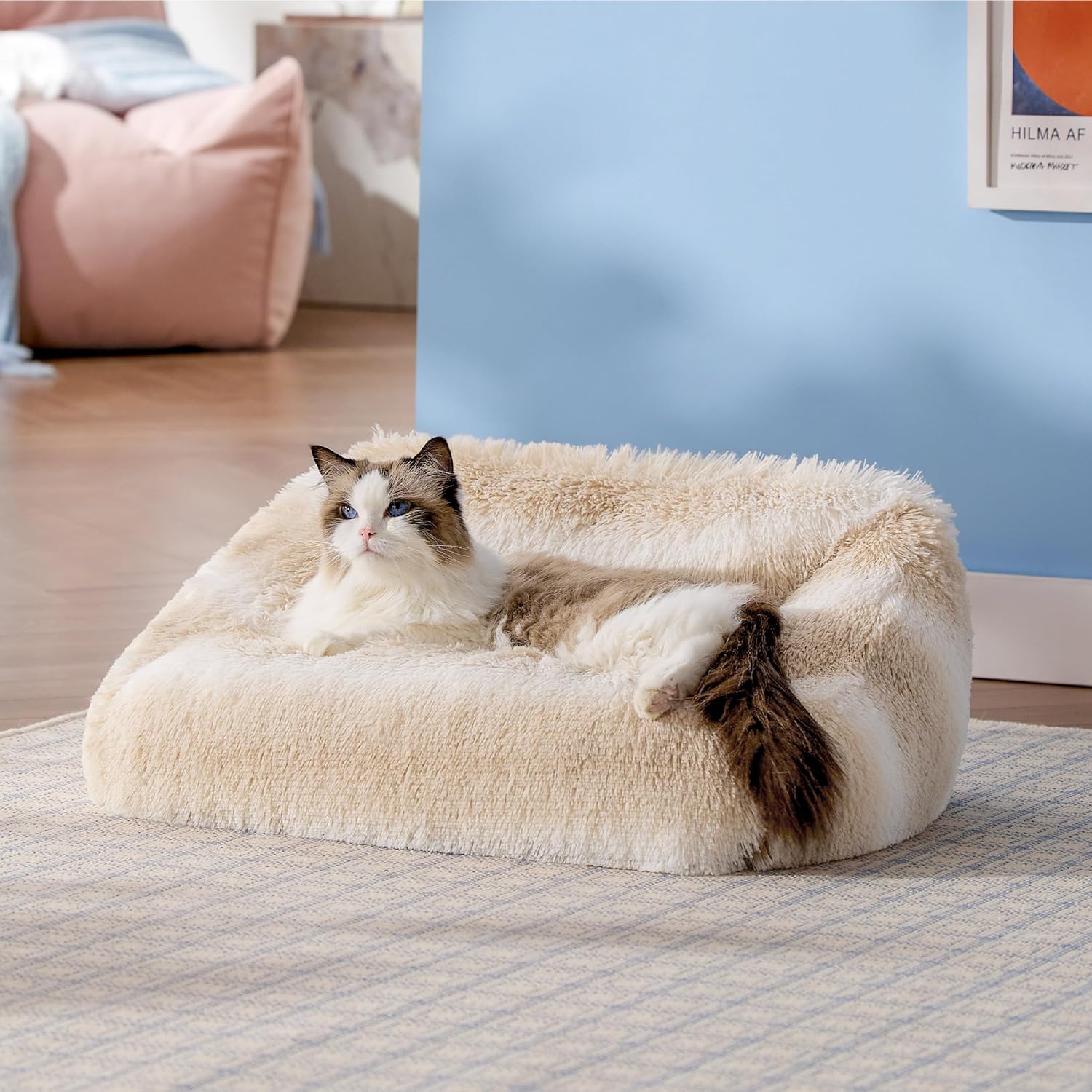 Lesure Cute Cat Bed Indoor - Stylish Washable Pet Bed for Comfort