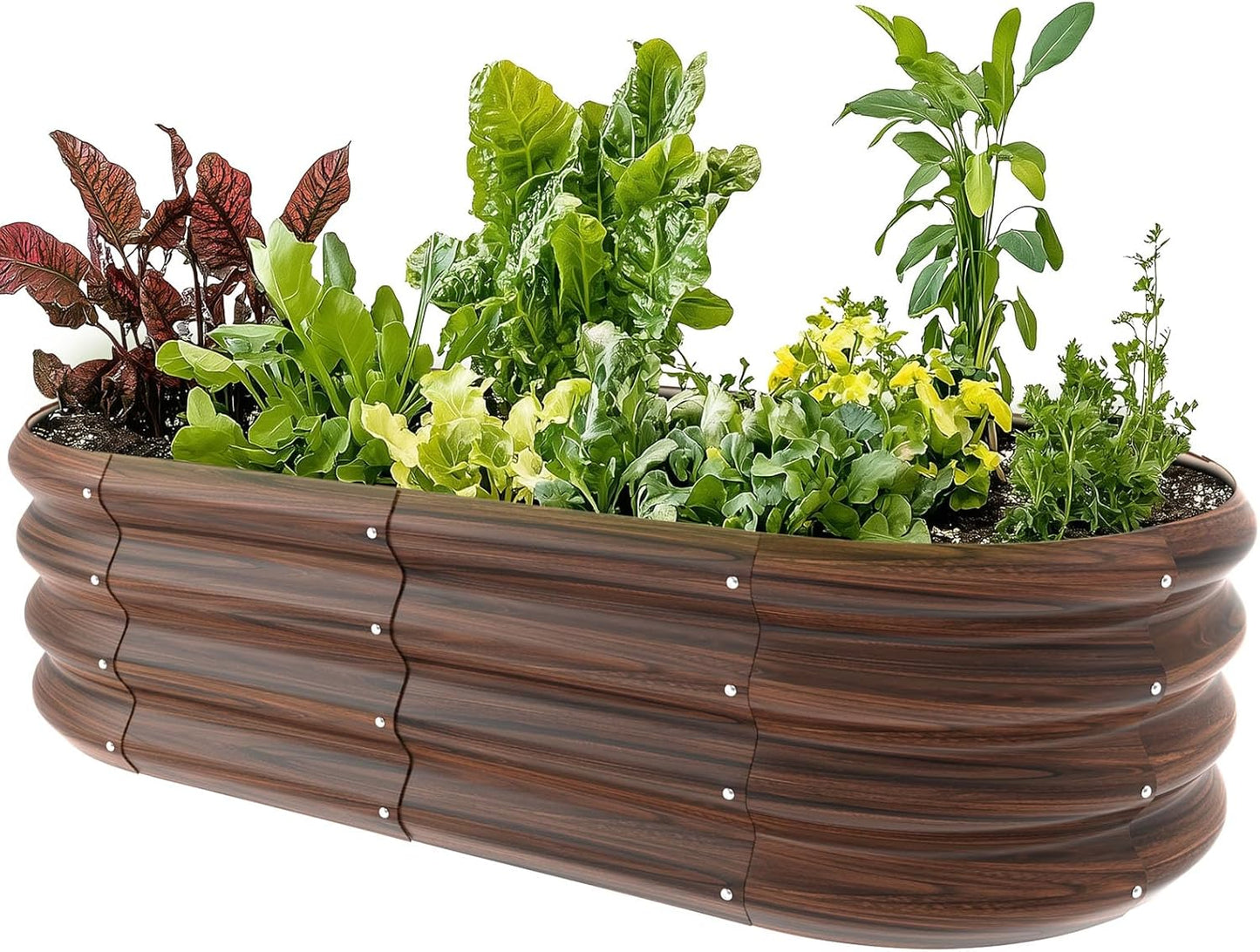 Oval Galvanized Raised Garden Bed for Vegetables and Flowers