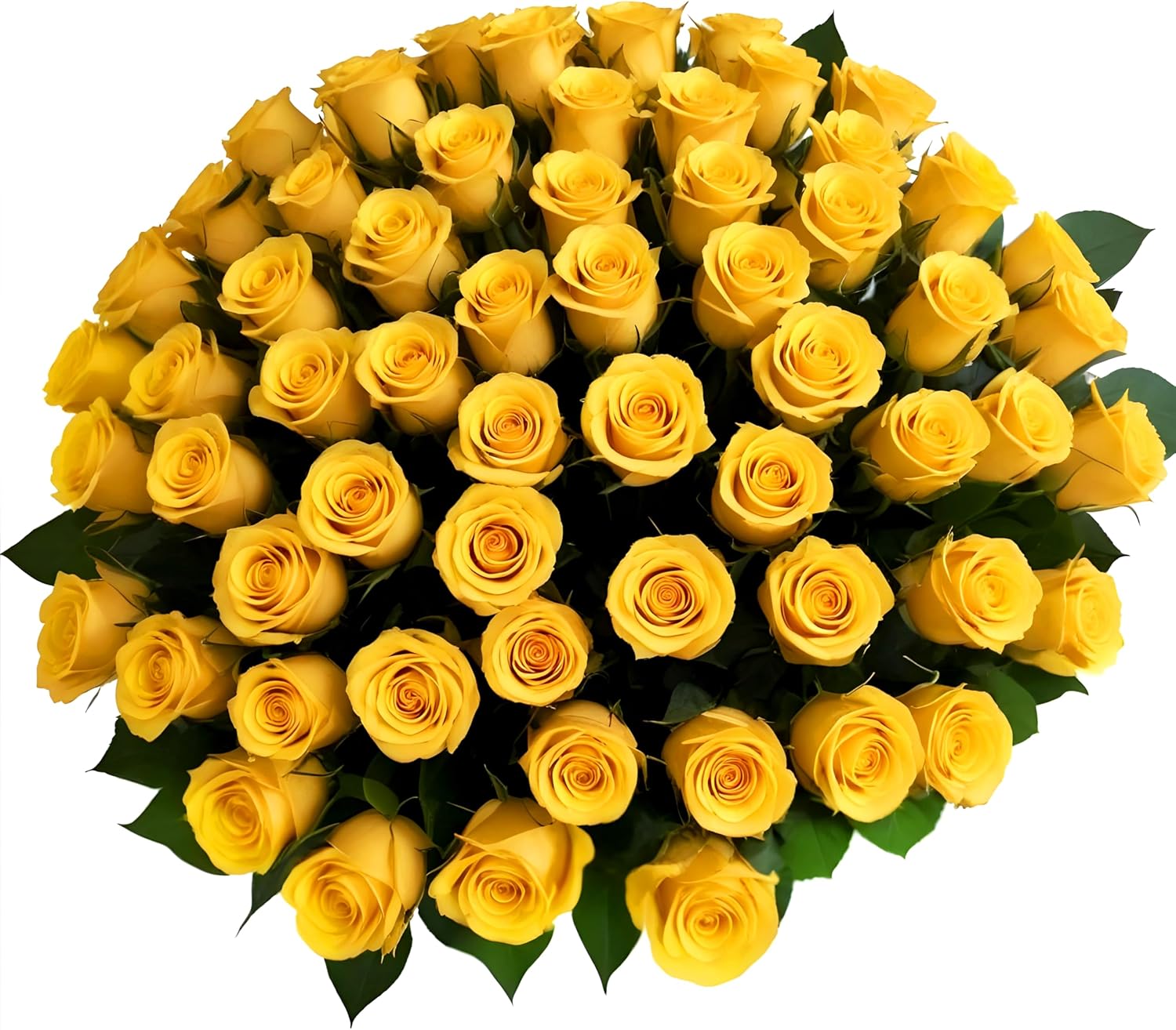 50 Fresh Yellow Roses for Delivery | Perfect Gift for Any Occasion