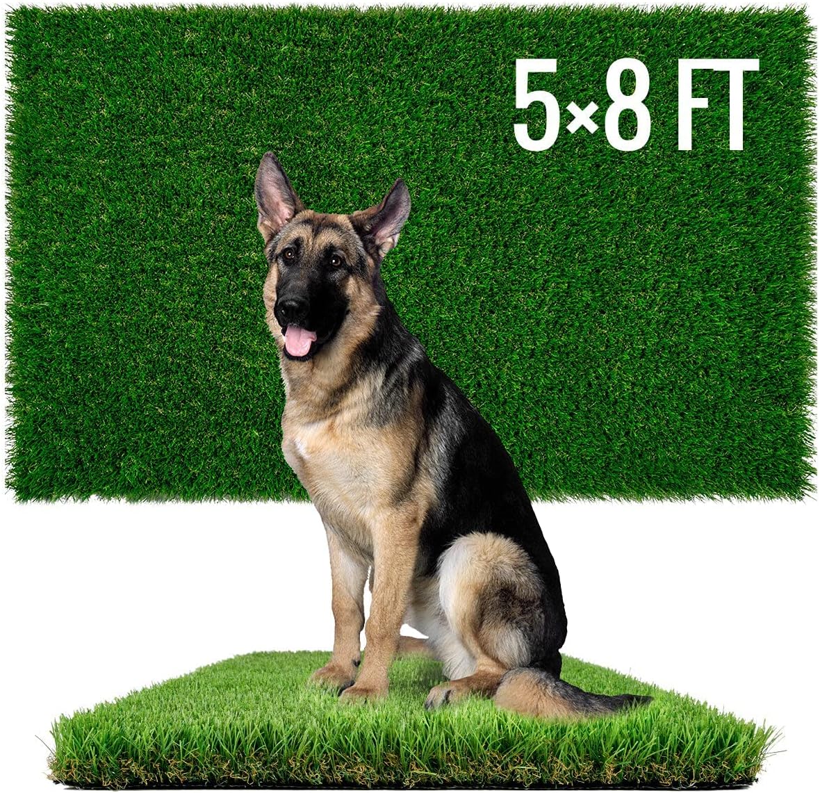 Artificial Grass for Dogs Potty Training - Extra Large 5x8ft Pad