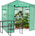 EAGLE PEAK 7x7 Pop up Greenhouse Portable Walk-in - Quick Setup