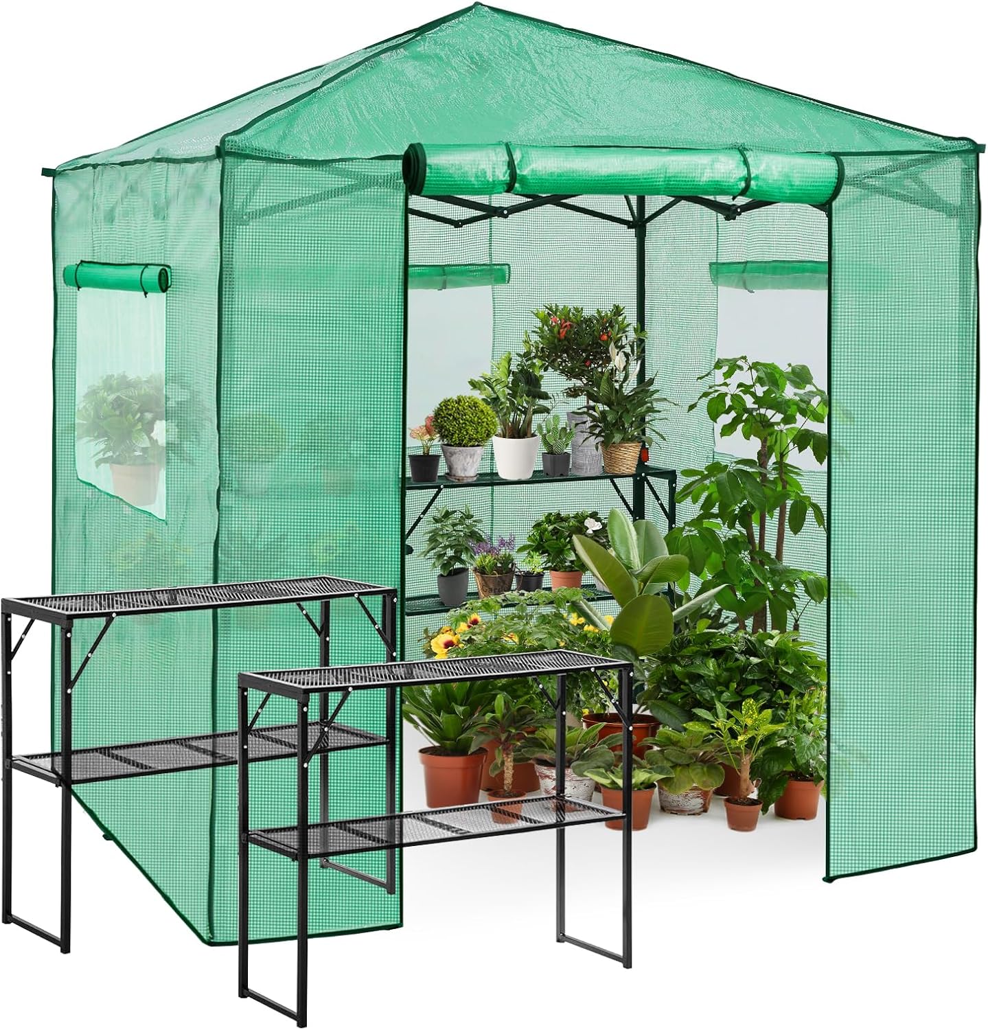 EAGLE PEAK 7x7 Pop Up Greenhouse for Outdoor Gardening Needs