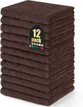 Homaxy 12 Pack Dish Towels 13 x 19 in - Super Soft Coral Velvet