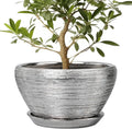 Ceramic Planter 13 Inch Pot with Drainage Hole for Indoor Plants