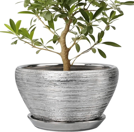 Ceramic Planter 13 Inch Pot with Drainage Hole for Indoor Plants