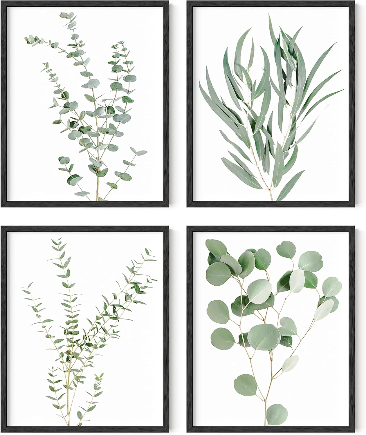 Botanical Plant Wall Art Prints - Set of 4 for Home Decor