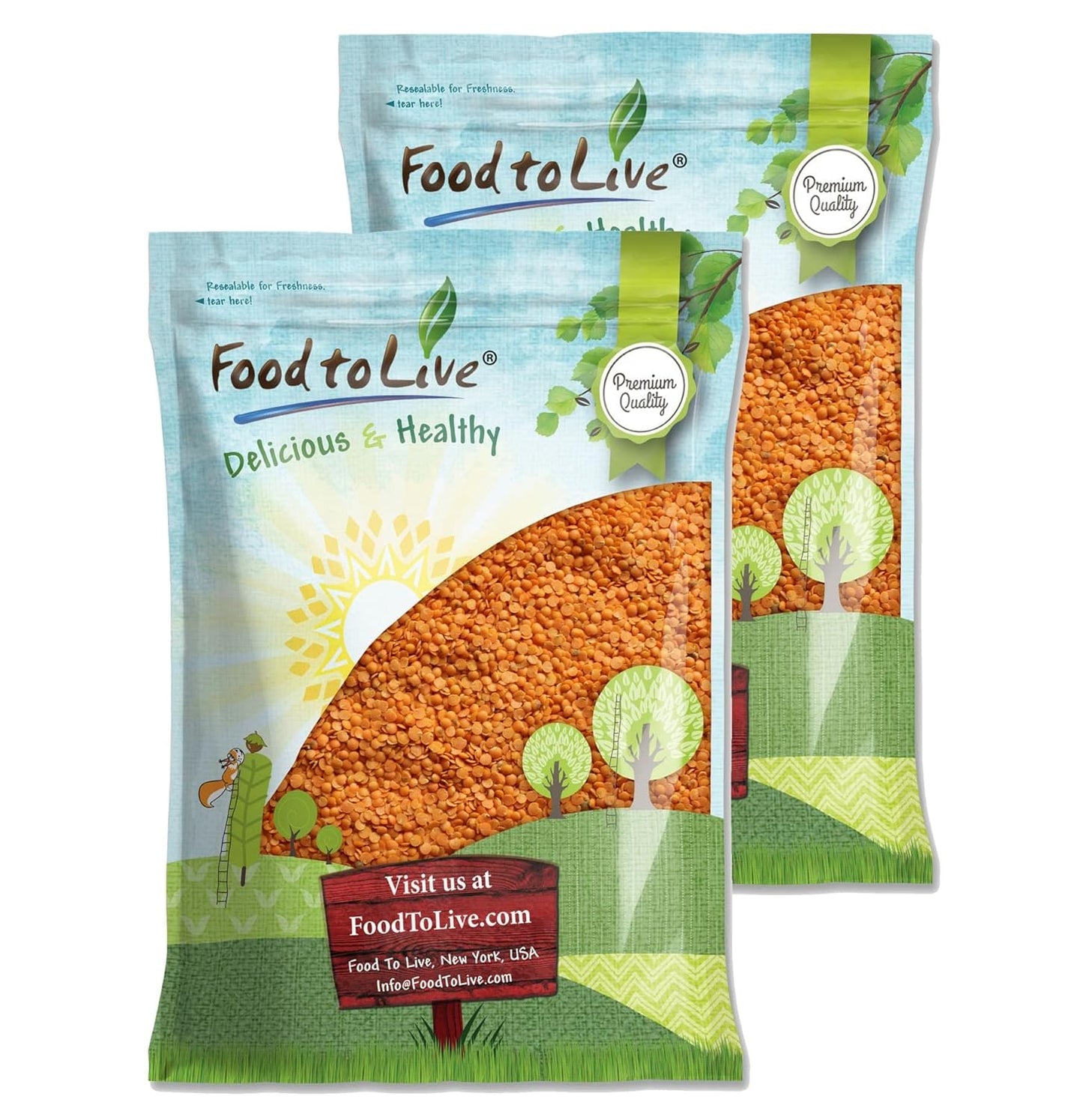 Red Split Lentils from Food to Live - Healthy Vegan Protein Source