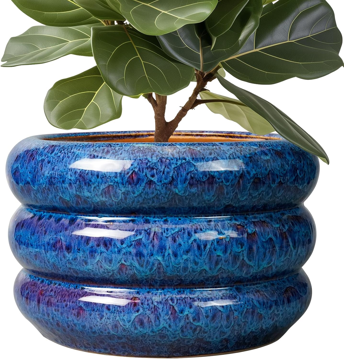 SQOWL Ceramic Pot for Plants 13.5 Inch - Stylish Indoor Planter