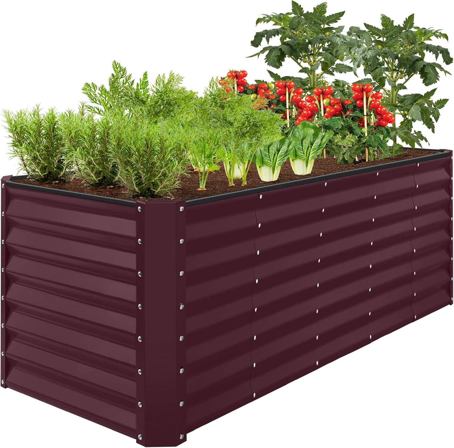 Raised Outdoor Metal Garden Bed for Herbs and Vegetables