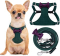 No Pull XS Dog Harness with Multifunction Leash - Soft Plaid Green