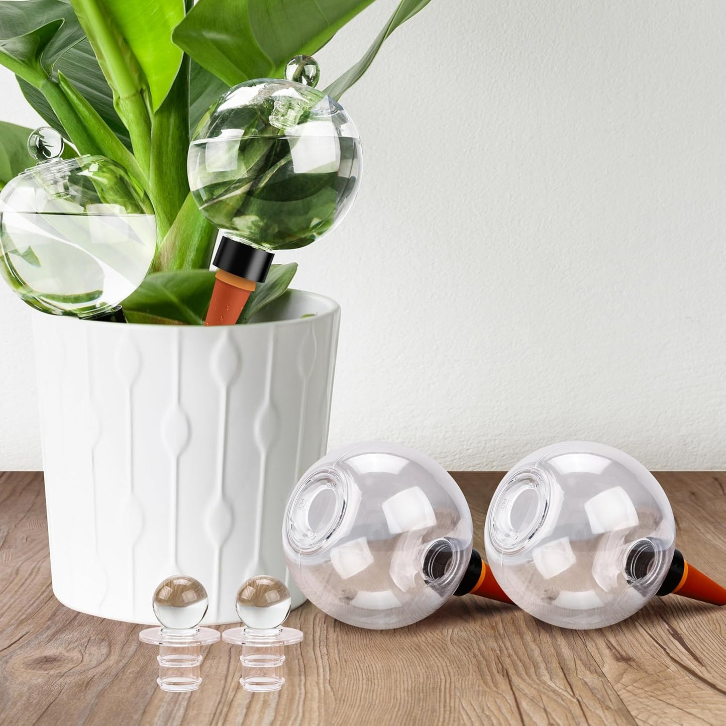 19 oz Extra Large Plant Self Watering Globes for Easy Hydration