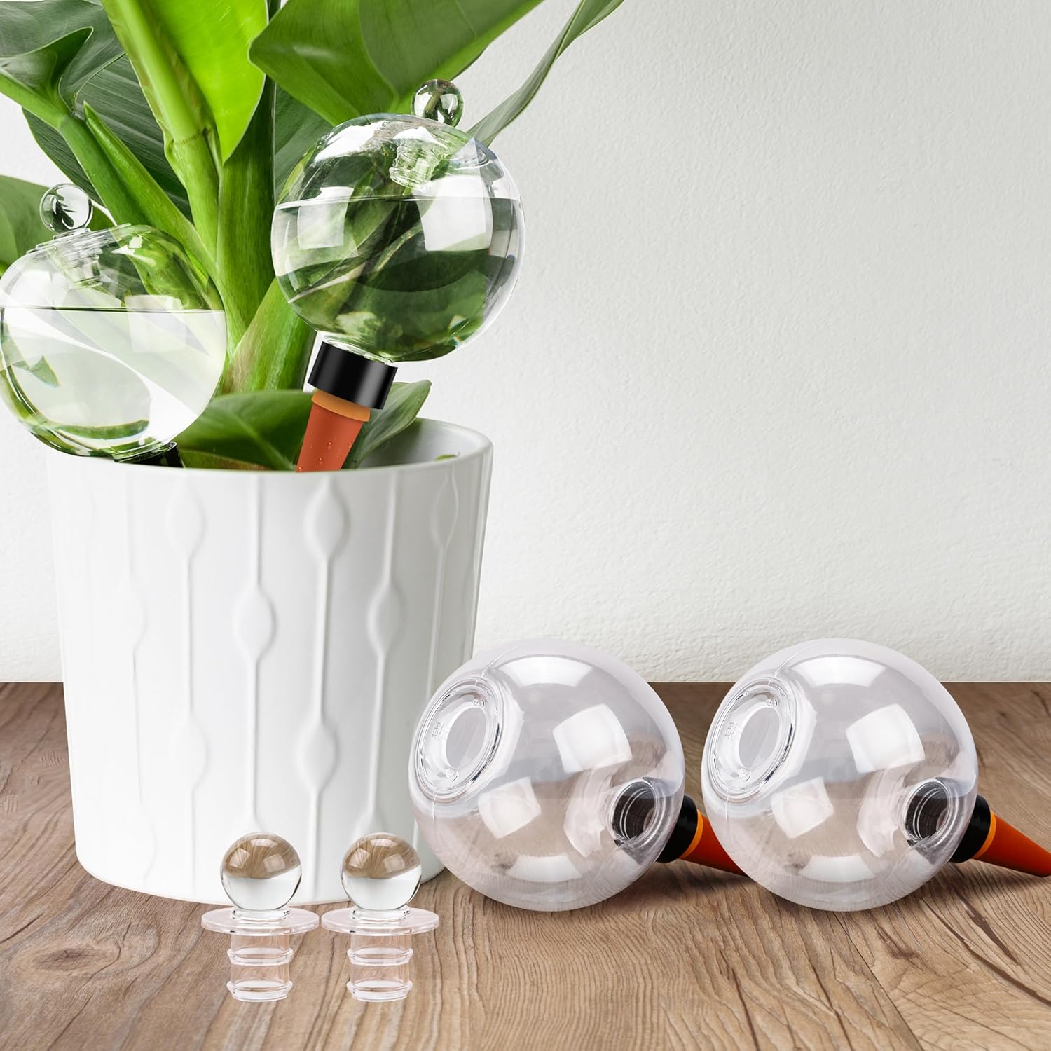 19 oz Extra Large Plant Self Watering Globes for Easy Hydration