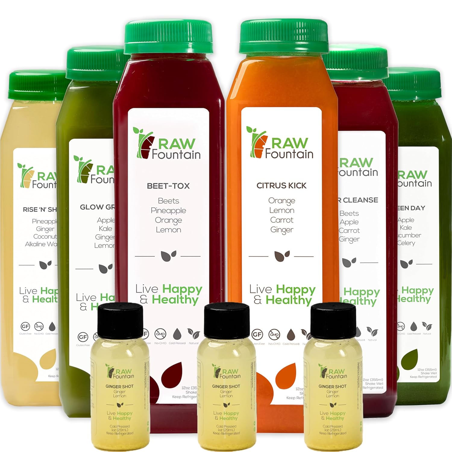1 Day Juice Cleanse for Detox and Body Reset with Raw Fountain