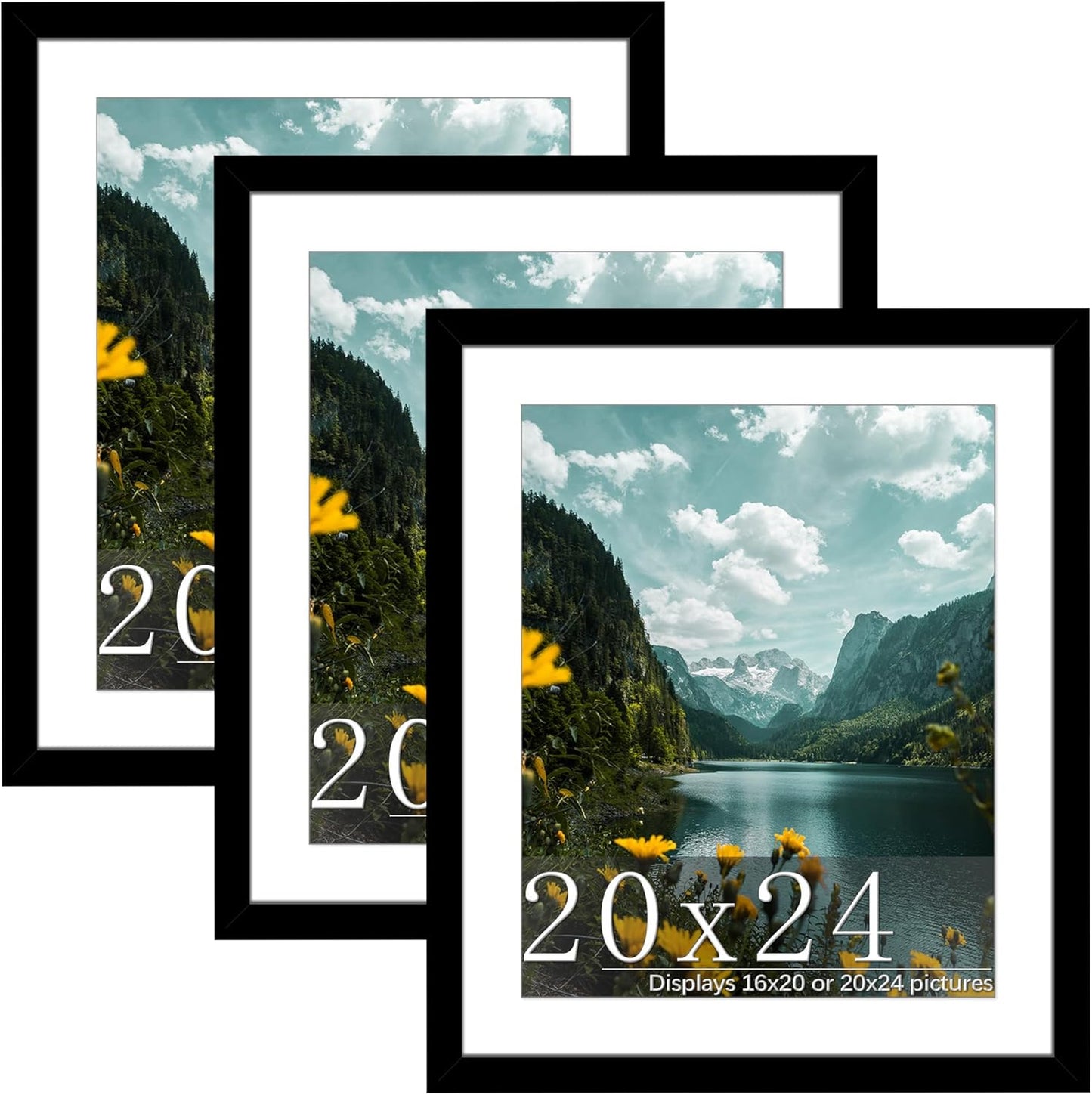 Picrit 20x24 Picture Frame Set for Flexible Display Options