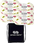 Bloom Chunky Baby's Breath 6-Skein Set - Soft Self-Patterning Bulky
