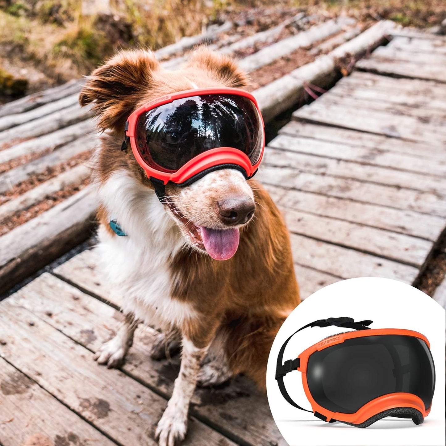 Rex Specs V2 Dog Goggles for Active Dogs - Bandit Orange
