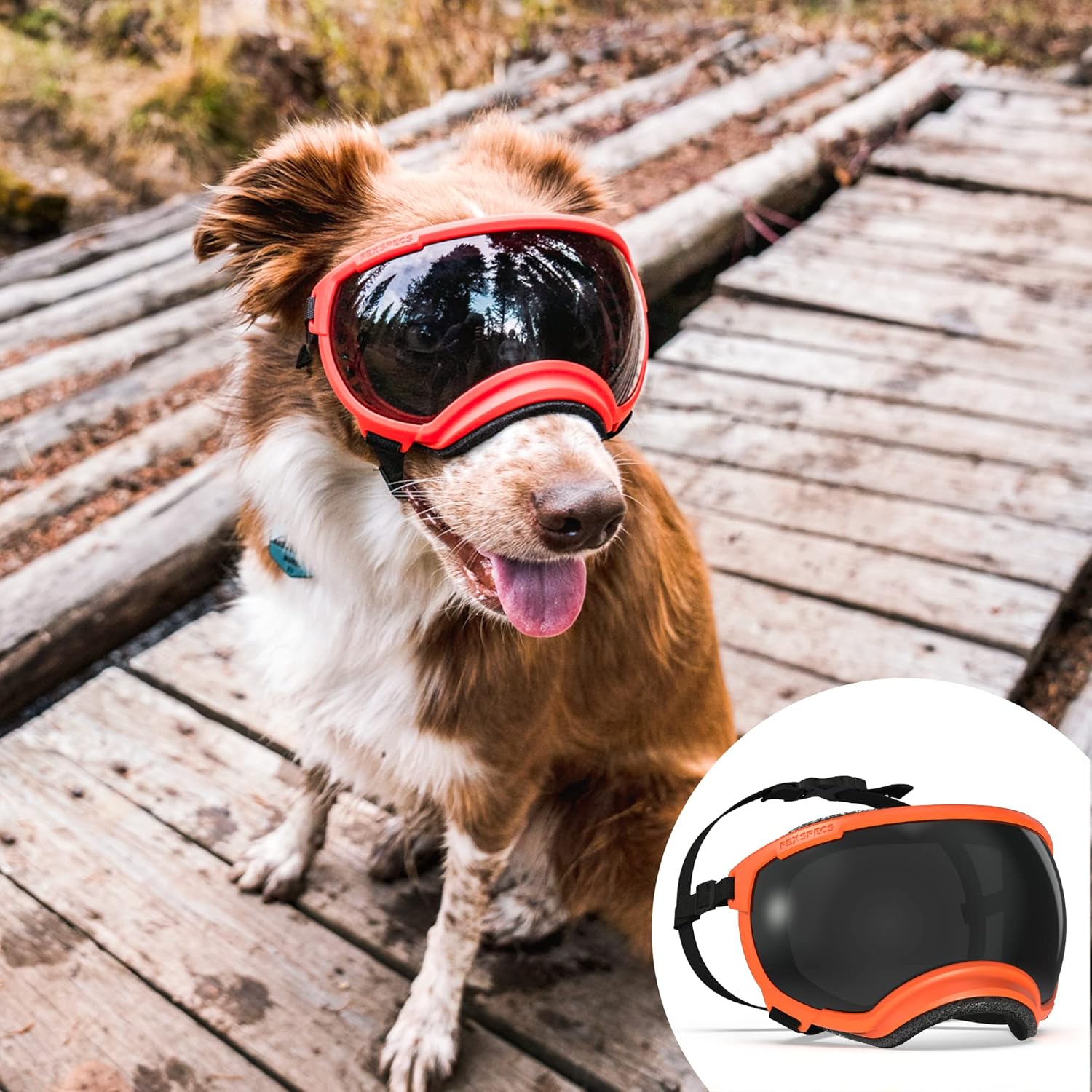 Rex Specs V2 Dog Goggles for Active Dogs - Bandit Orange