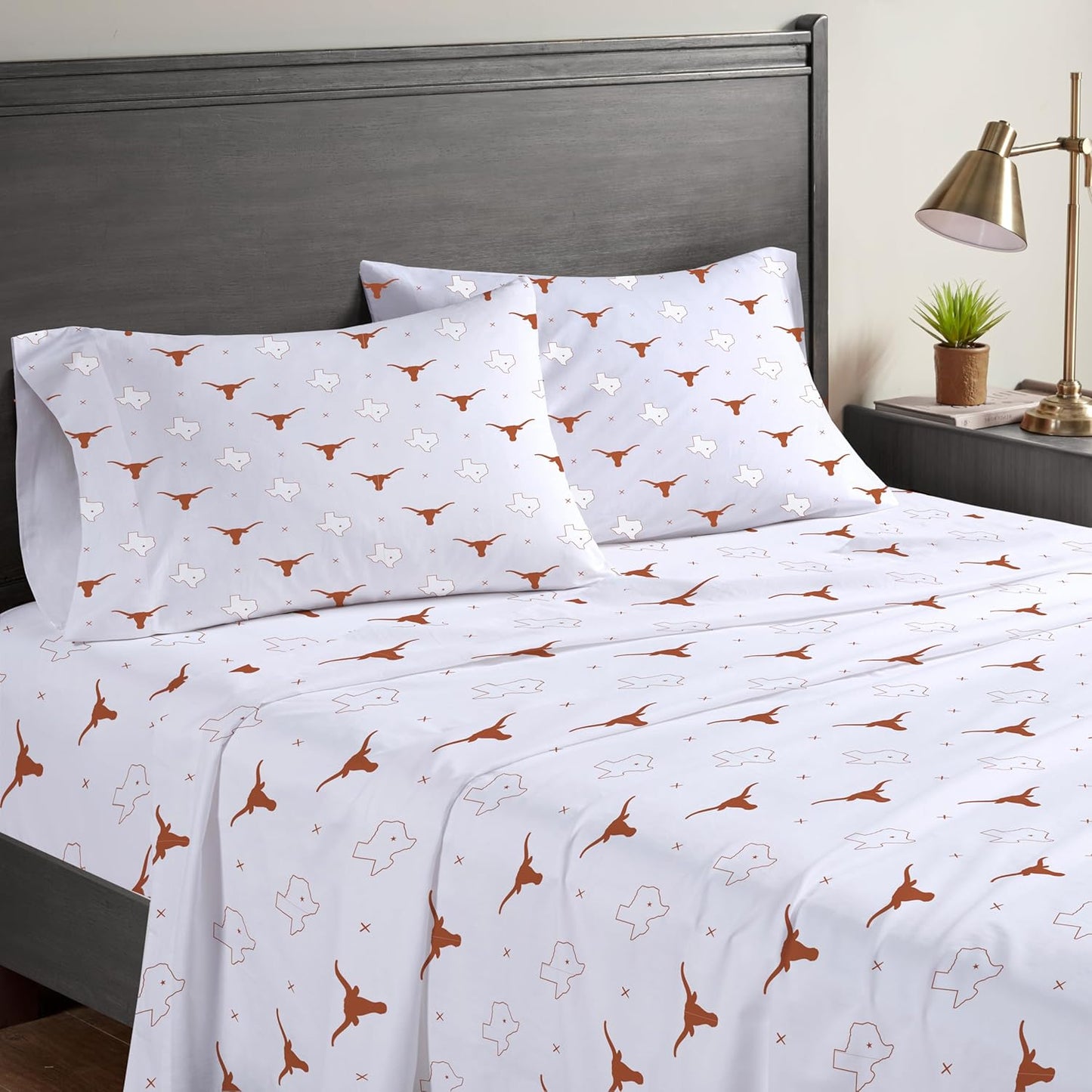 Pegasus Sports NCAA Circle Plushlete Pillow for Ultimate Comfort